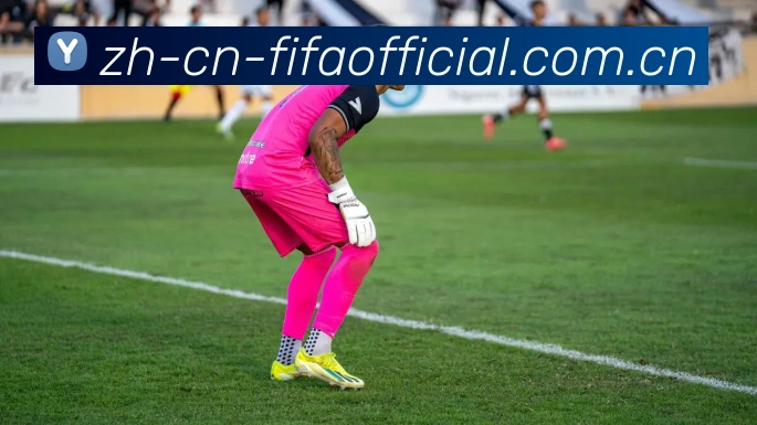 FIFA 官方体彩数据授权书